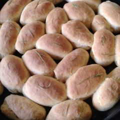 A picture of Buns.