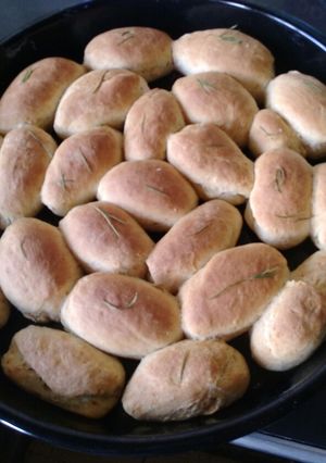 A picture of Buns.