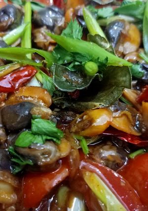 Foto resep Kerang Dara asam manis