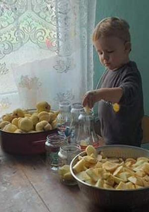 O poză a rețetei Compot de mere pentru iarnă.