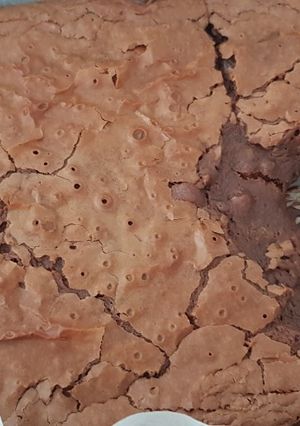Une photo de Brownie aux noix