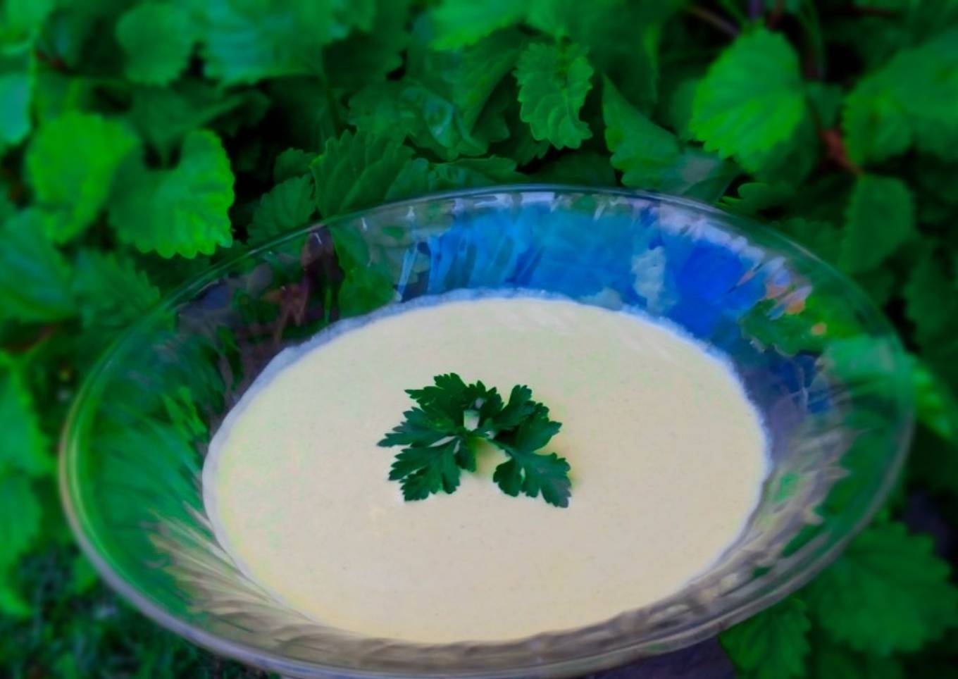 Crema de Brócoli