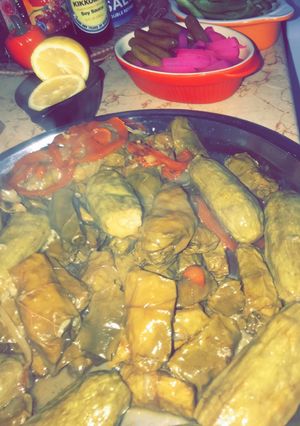 صورة لوصفة دوالي مع الكوسا المحشي