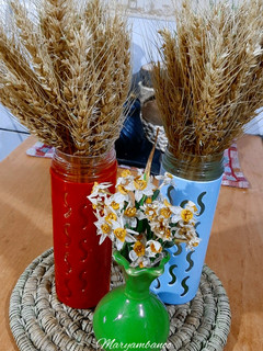 عکسی از دستور کاشت گندم خوشه ای