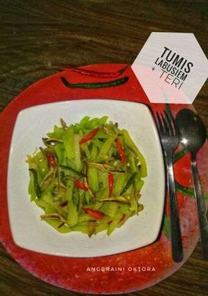 Foto resep Labu Siem Tumis Teri