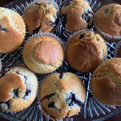 A picture of Blueberry muffins.