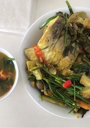 Hình của món Cá chép om dưa cải ngon bá cháy.