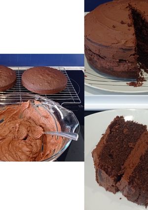 A picture of Basic Chocolate Sponge Cake.
