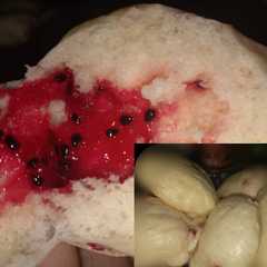Bakpao empuk isi selai buah naga রেসিপির প্রধান ছবি