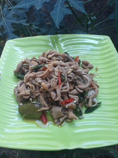Foto resep Oseng Usus Lombok Ijo