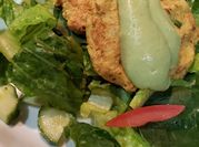 A picture of canned tuna fish