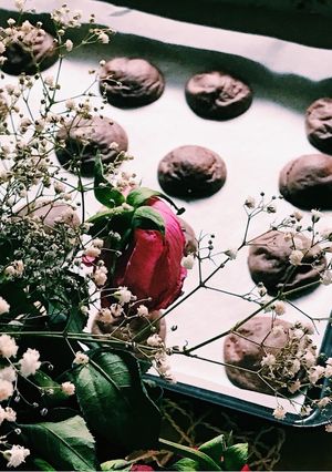 صورة لوصفة كوكيز 🍪