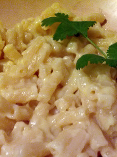 A picture of Dewhurst's Simple Cheese Sauce.