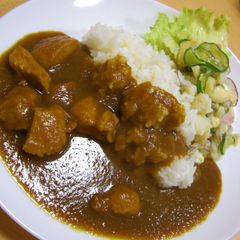 A picture of Thick Chicken Curry with Vegetables.