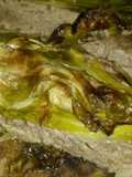 Sig's deliciously stuffed cabbage (vegetarian)