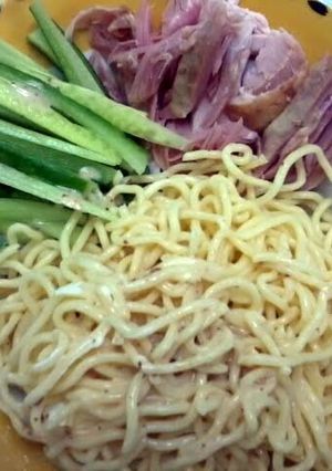 A picture of Japanese Cold Noodles.