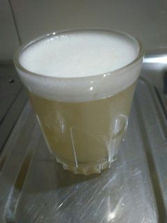 આમળાનું જ્યુસ (Amla Juice Recipe In Gujarati) રેસીપી મુખ્ય ફોટો