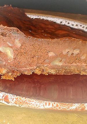 A picture of Failed Fudge Cheesecake.