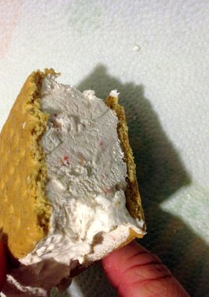 A picture of "Ice cream" bars.