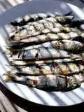 Sardinhas na Airfryer