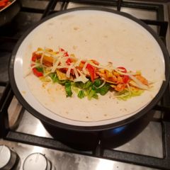 A picture of Fajita wraps and paprika fries.