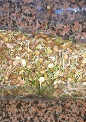 Una foto de Brotecitos de Lentejas para Arroz Chino