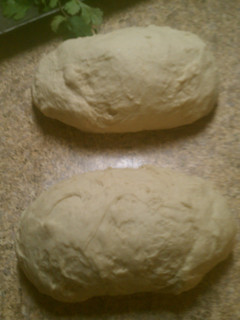 A picture of Yeast Pizza Dough.
