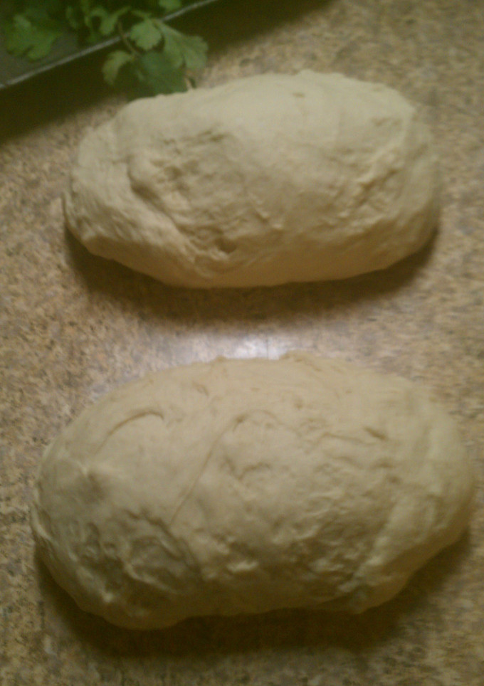 A picture of Yeast Pizza Dough.