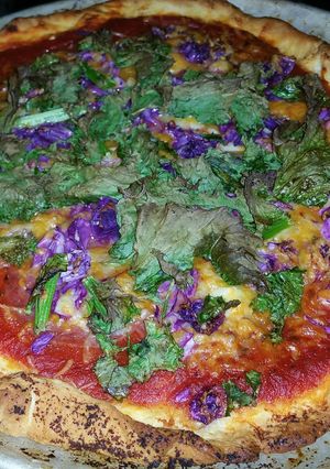 A picture of Garden Guido Pizza.
