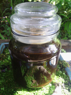 A picture of Mushroom Sauce.