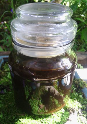 A picture of Mushroom Sauce.