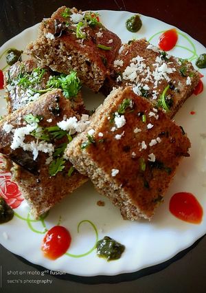 A picture of Ragi Oats Dhokla.