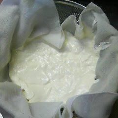 A picture of The Fastest Strained Yogurt.