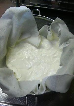 A picture of The Fastest Strained Yogurt.