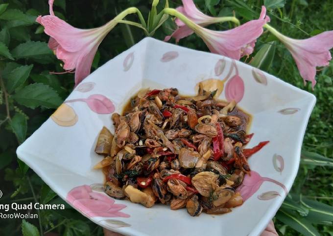 Kerang hijau tumis kecap