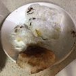 Vỏ mochi