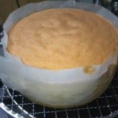 A picture of Sponge Cake.
