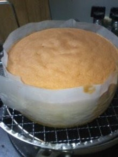 A picture of Sponge Cake.