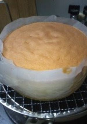 A picture of Sponge Cake.