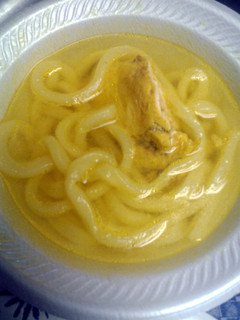 A picture of Udon noodle and chicken soup.
