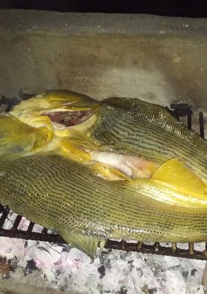 Una foto de Dorado a la parrilla