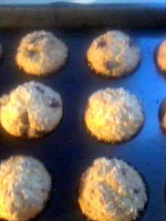 A picture of Chocolate Chip Muffins.