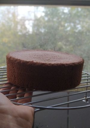 عکسی از دستور کیک اسفنجی کاکائویی (بدون شیر روغن)