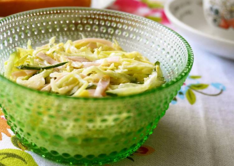 spring cabbage coleslaw recipe main photo