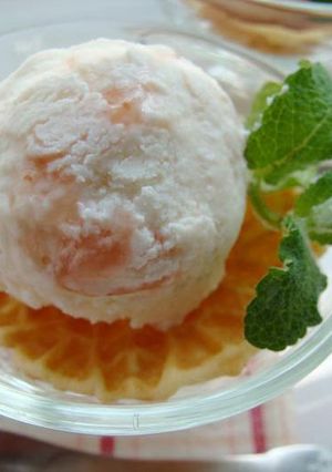 A picture of Fruity Frozen Yogurt.