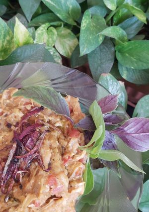 عکسی از دستور 🍳 میرزا قاسمی