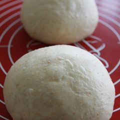 A picture of Bread Dough with Whole Wheat Flour.
