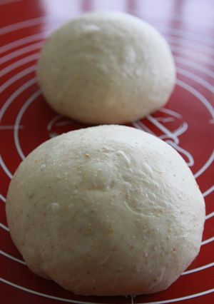 A picture of Bread Dough with Whole Wheat Flour.