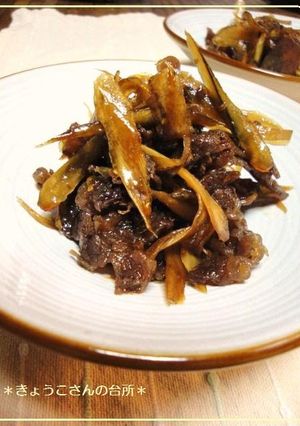 A picture of Simmered Beef and Burdock Root.