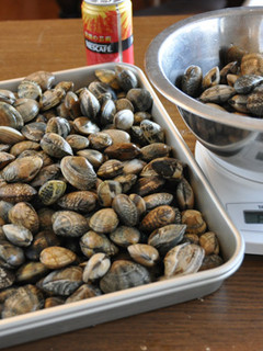 A picture of How to Preserve Manila Clams (Asari) in the Freezer.